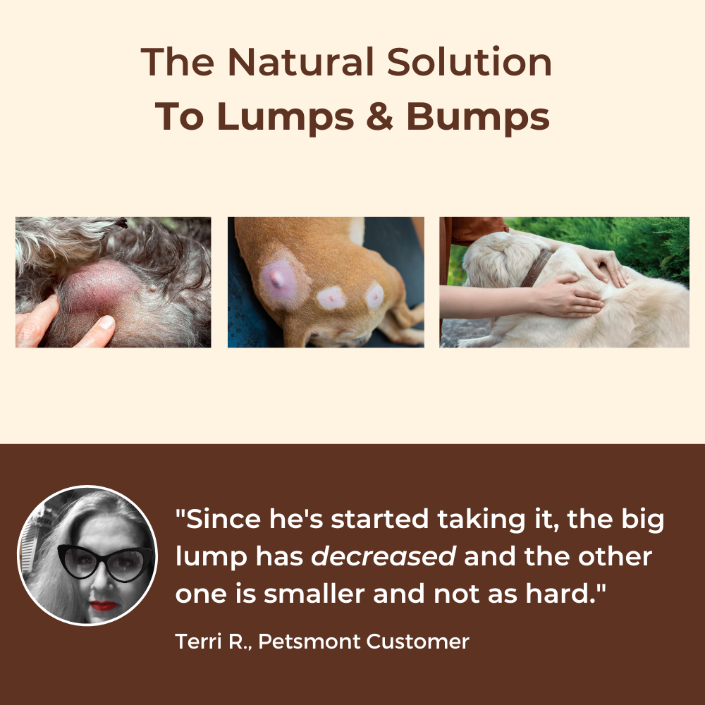 Petsmont Buddy Guard for Lumps and Bumps, Lipoma for Dogs & Cats, Patent Pending Organic 8 Mushroom Powder Blend Natural Dog Probiotic & Immune Support Chaga, Reishi, Lion's Mane, Turkey Tail Mushroom