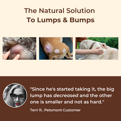 Petsmont Buddy Guard for Lumps and Bumps, Lipoma for Dogs & Cats, Patent Pending Organic 8 Mushroom Powder Blend Natural Dog Probiotic & Immune Support Chaga, Reishi, Lion's Mane, Turkey Tail Mushroom